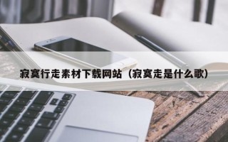 龙口寂寞行走素材下载网站（寂寞走是什么歌）